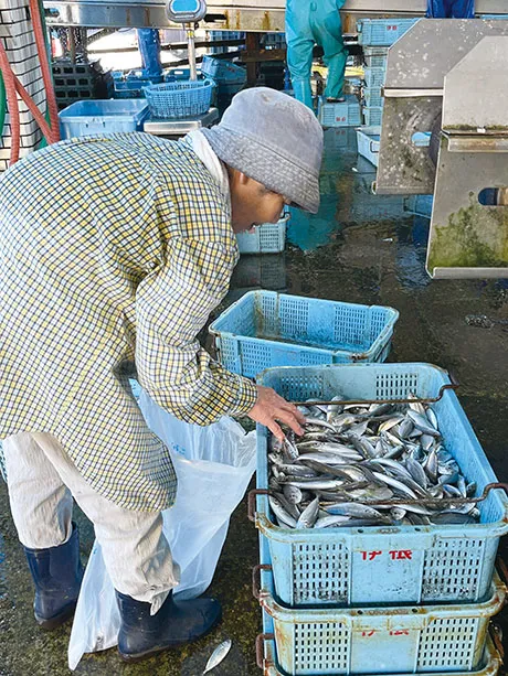 好みの魚を見つけ購入する地元の人