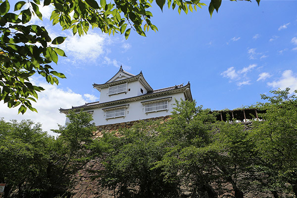 津山城 (鶴山公園)