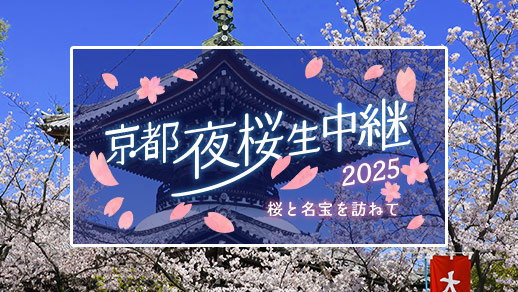 京都夜桜生中継2025 桜と名宝を訪ねて