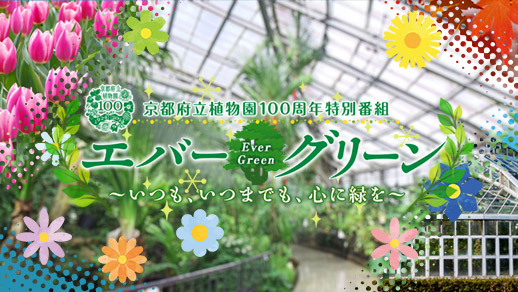 京都府立植物園開園100周年記念特別番組　エバーグリーン ～いつも、いつまでも、心に緑を～