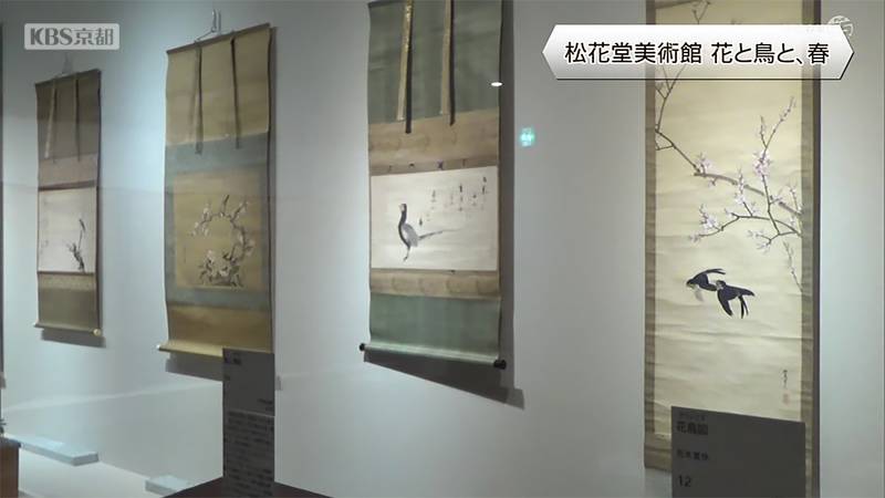 八幡市立松花堂美術館　花鳥画で穏やかな春を感じて　早春展「花と鳥と、春」