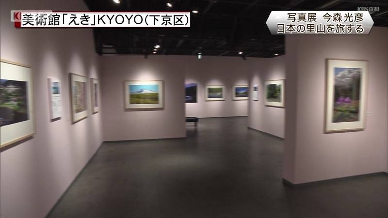 今森光彦写真展 京都市下京区美術館「えき」