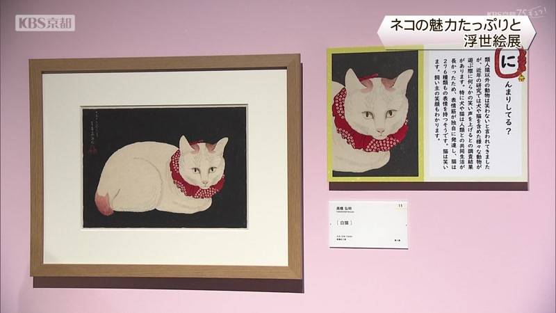 ネコの魅力たっぷりと 京都市内で浮世絵展
