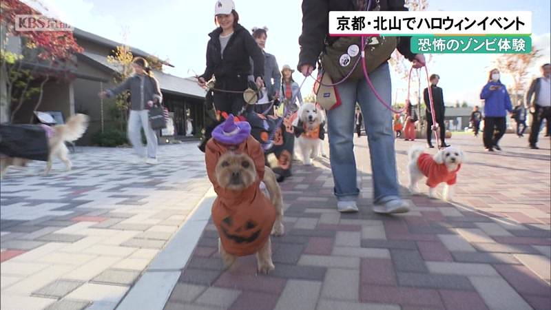 恐怖のゾンビ体験 京都・北山でハロウィンイベント