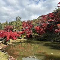 12月4日(水)　ラジオカーリポート：画像