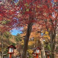 12月16日（月）ラジオカーリポート：画像