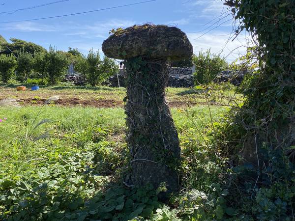 鵜飼さん（山口県取材見島）.JPG