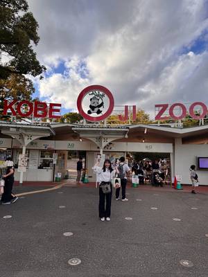 tabi_20251025-7d666ff417712eea68a2ec677e027098a4990d42.jpeg