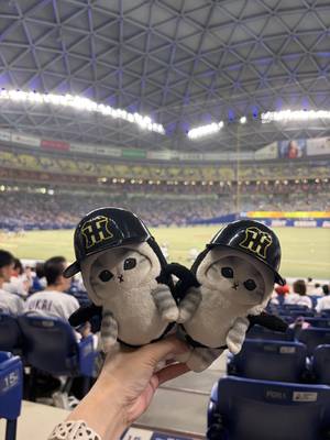tabi_20260718-17e771f9b7a22fc4ad475afa2b87e3844a73e97e.jpeg