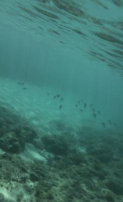 tabi_20260808-dba6a8d00c952cd7fb155c8e5acd869f591e6a9e.jpeg