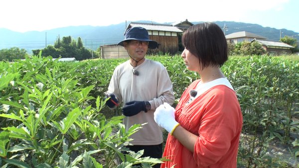 田中さん