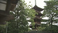 上野と寛永寺