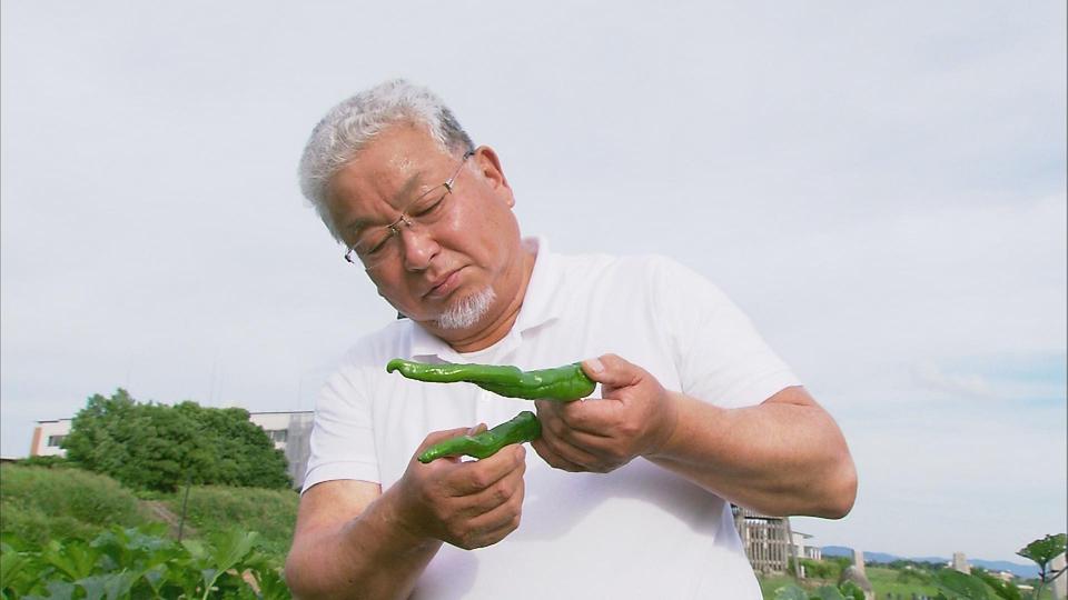 野菜作りへの挑戦と伝承 (1)