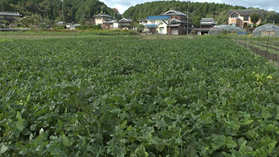 堤 博明さん